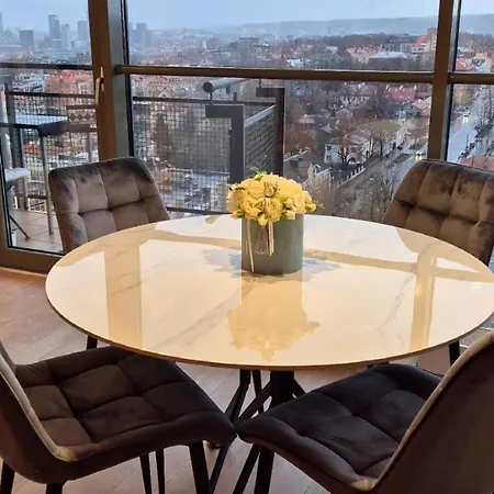 Jaukus Butas Su Miesto Panorama Centre Butas Vilnius